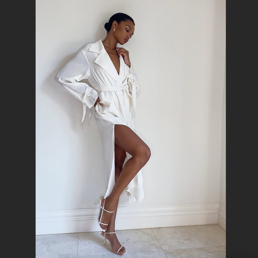 Aritzia Babaton trench wrap coat XXS